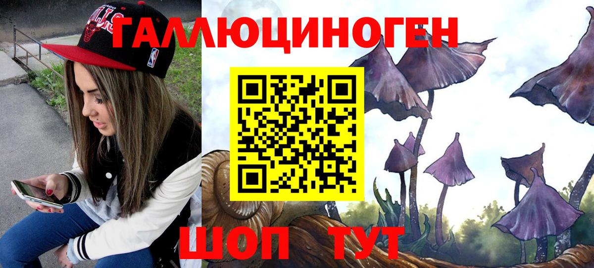 Псилоцибиновые грибы Cubensis Елизово