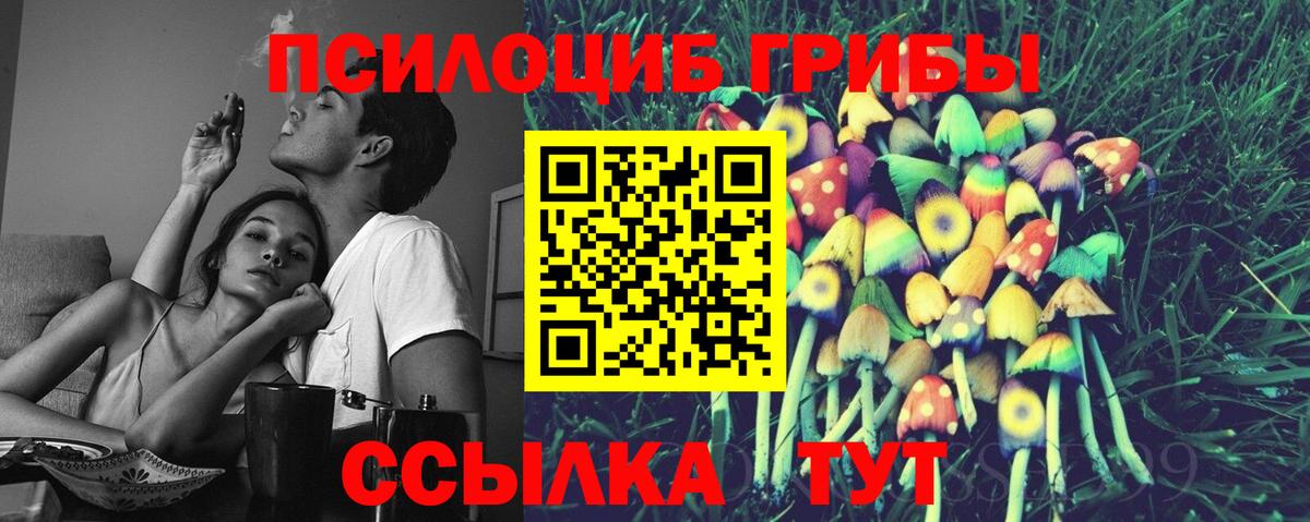 Елизово  Галлюциногенные грибы прущие грибы  Вход с VPN  Псилоцибиновые грибы Magic Shrooms 